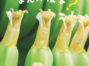 農業カメラマンが撮る写真絵本
「くだもののはな　なんのはな？」、30日発行